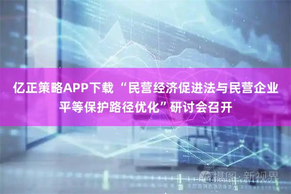亿正策略APP下载 “民营经济促进法与民营企业平等保护路径优化”研讨会召开